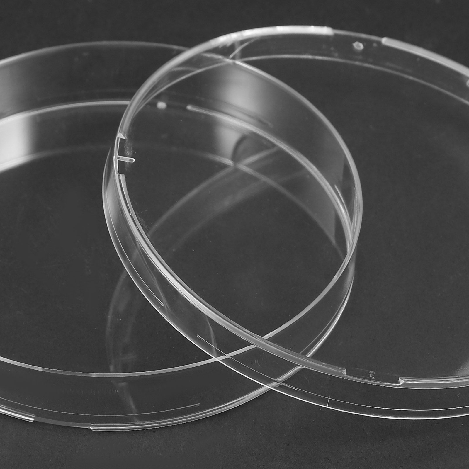 Agar Tissue Culture - 20 sztuk niezawodnych, sterylnych szalek Petriego