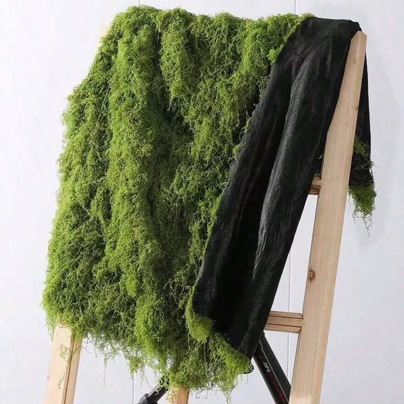 Sphagnum Moss Dry - Sztuczny mech do dekoracji mikro-krajobrazów, mech