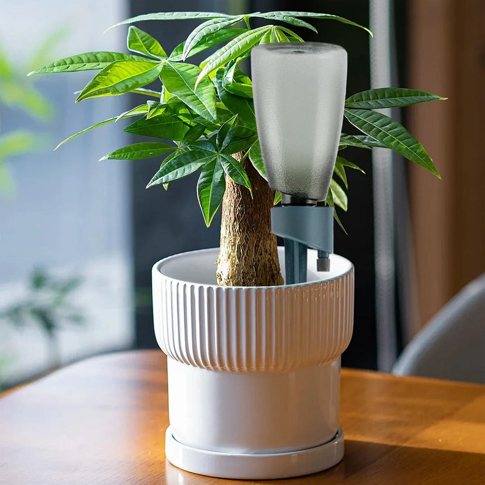 6 szt. Automatyczny podkaszacz – Self Watering Insert recenzja i cena