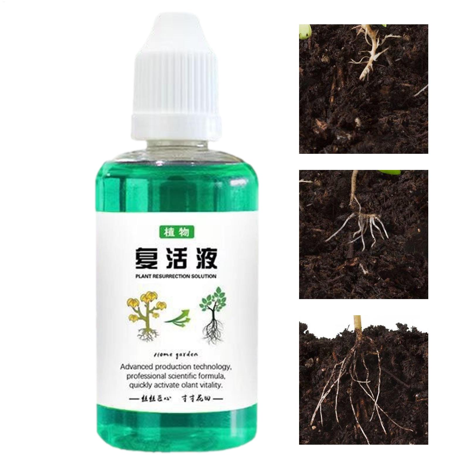 50ml Stymulator Korzeni Płyn d – Root Stimulator Liquid recenzja i cena