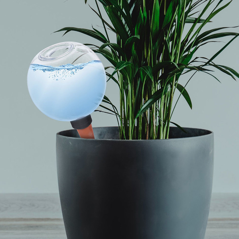 3 szt. automatycznych kulek na – Self Watering Insert recenzja i cena