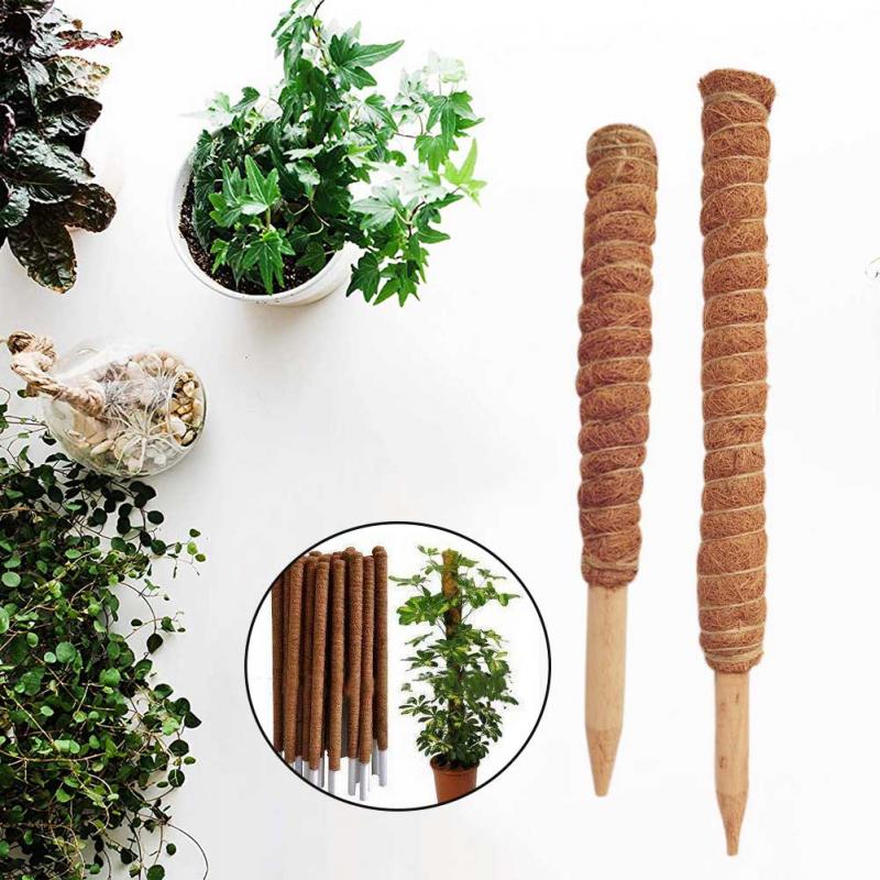 Totem z włókna kokosowego do r – Sphagnum Moss Dry recenzja i cena