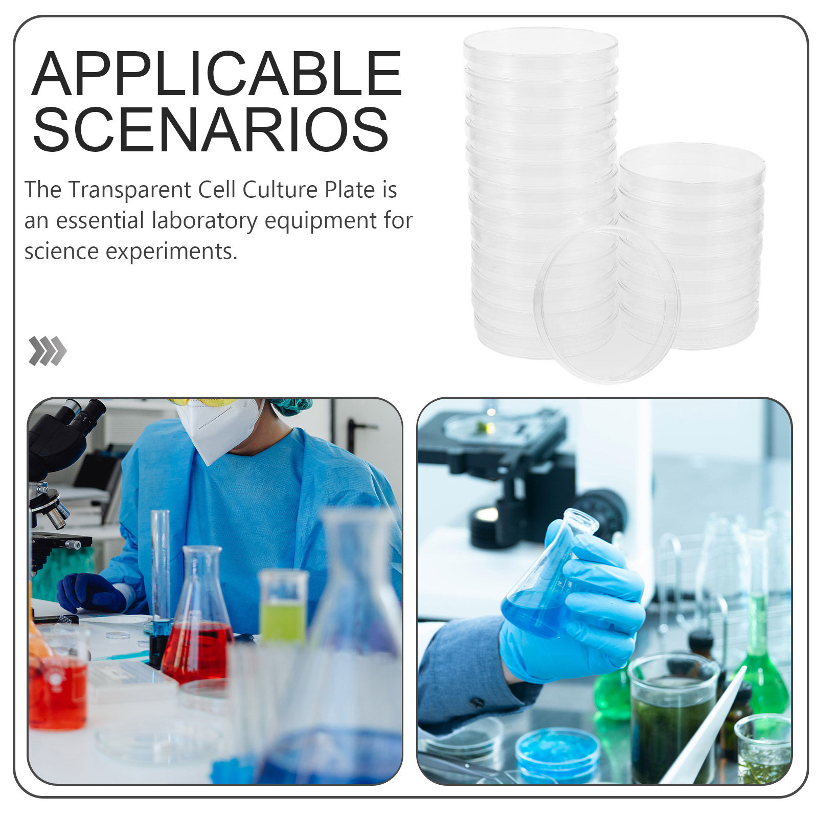 20 sztuk niezawodnych, steryln – Agar Tissue Culture recenzja i cena