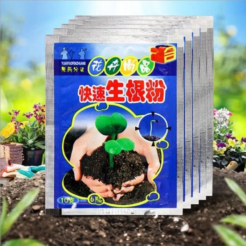 5 szt. Szybki Proszek do Zacin – Rooting Hormone Powder recenzja i cena