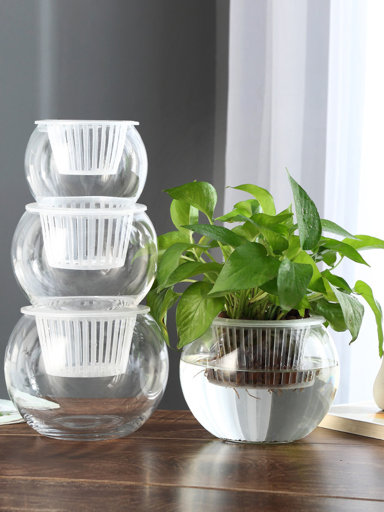 Hydroponiczny szklany wazon, s – Propagation Station Vase recenzja i cena